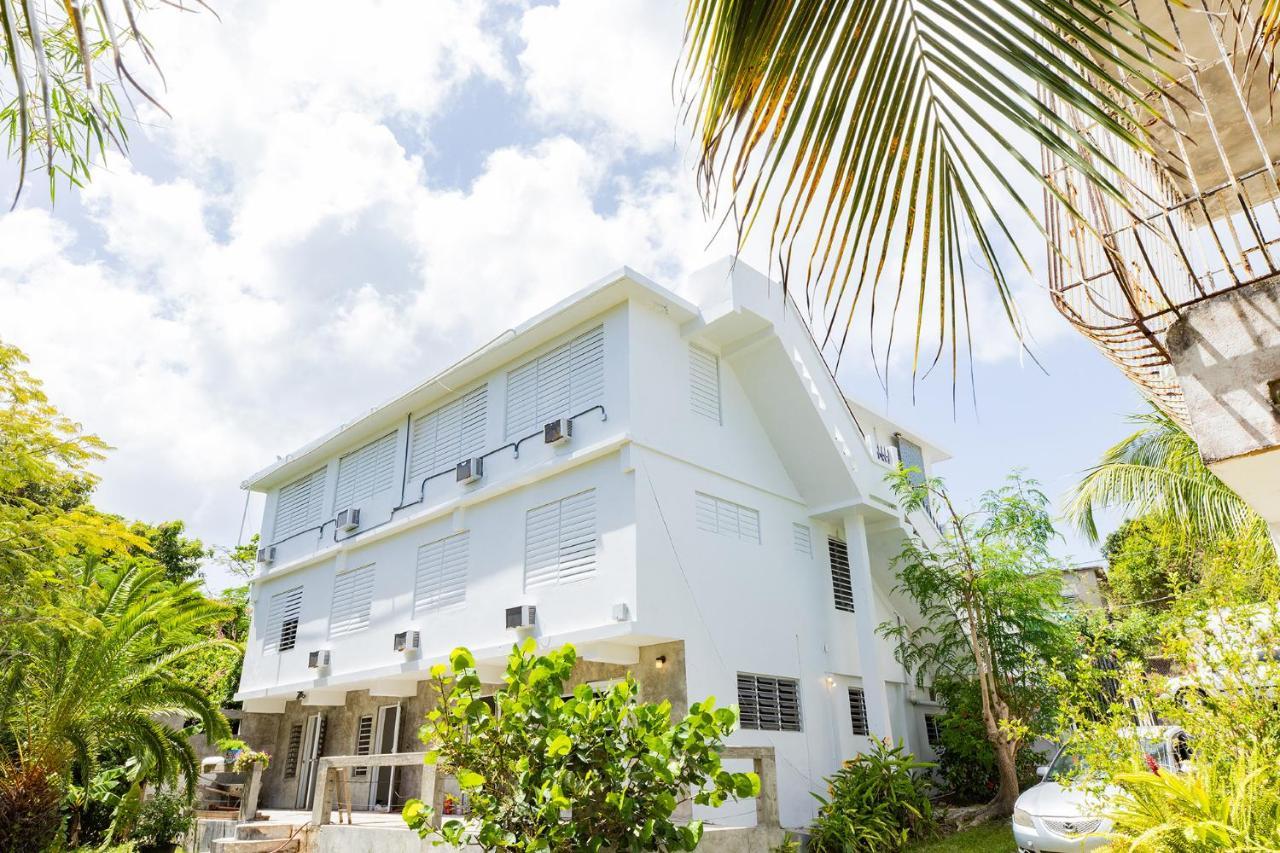 Vieques Tropical Guest House Eksteriør billede