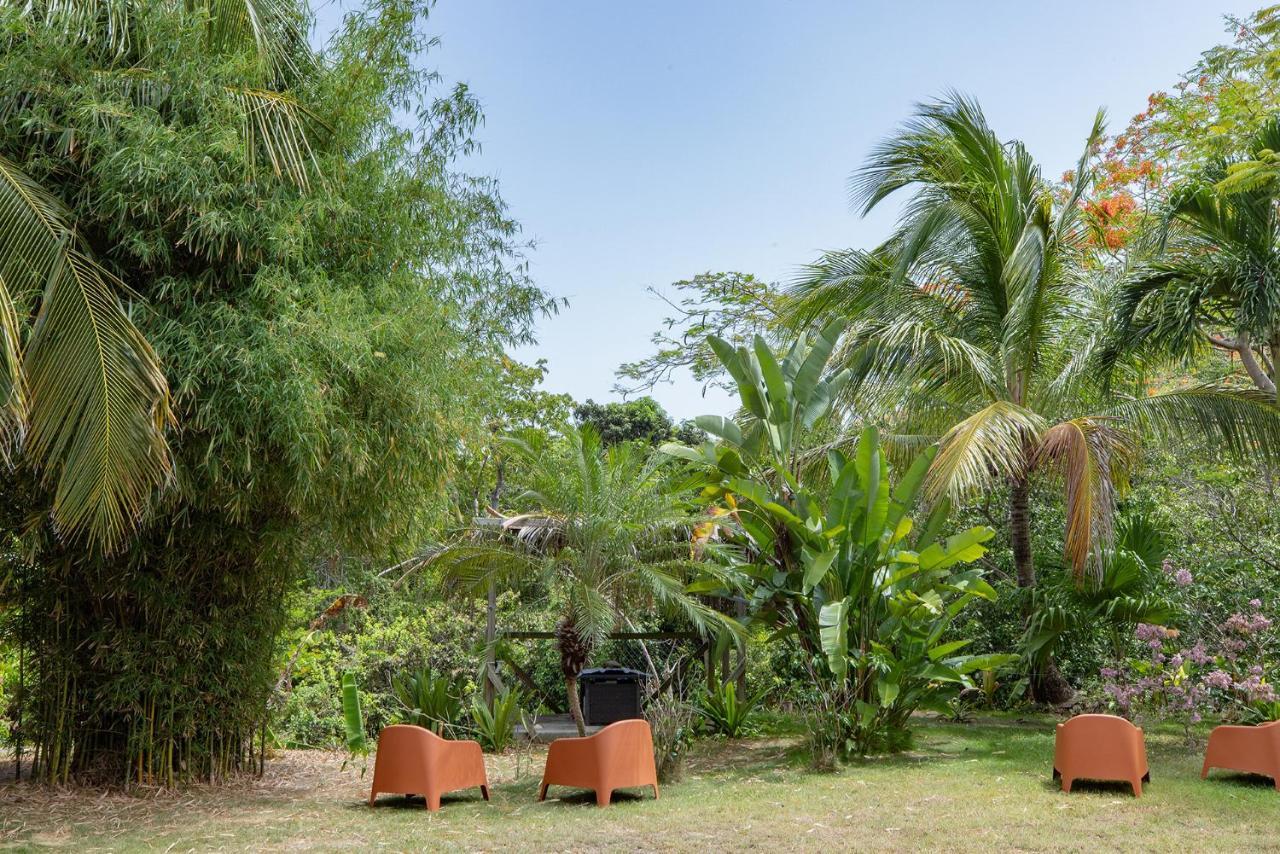 Vieques Tropical Guest House Eksteriør billede