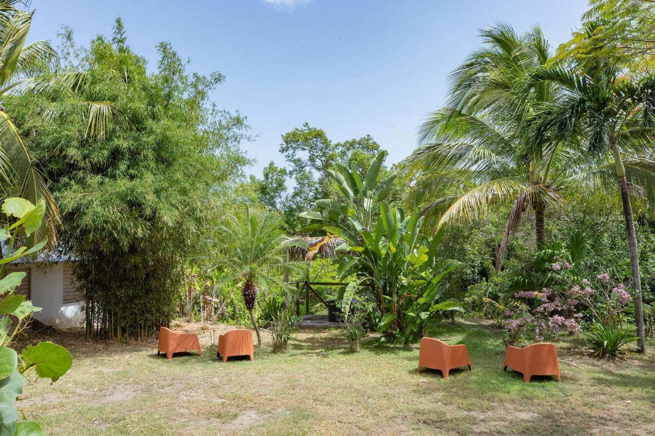 Vieques Tropical Guest House Eksteriør billede